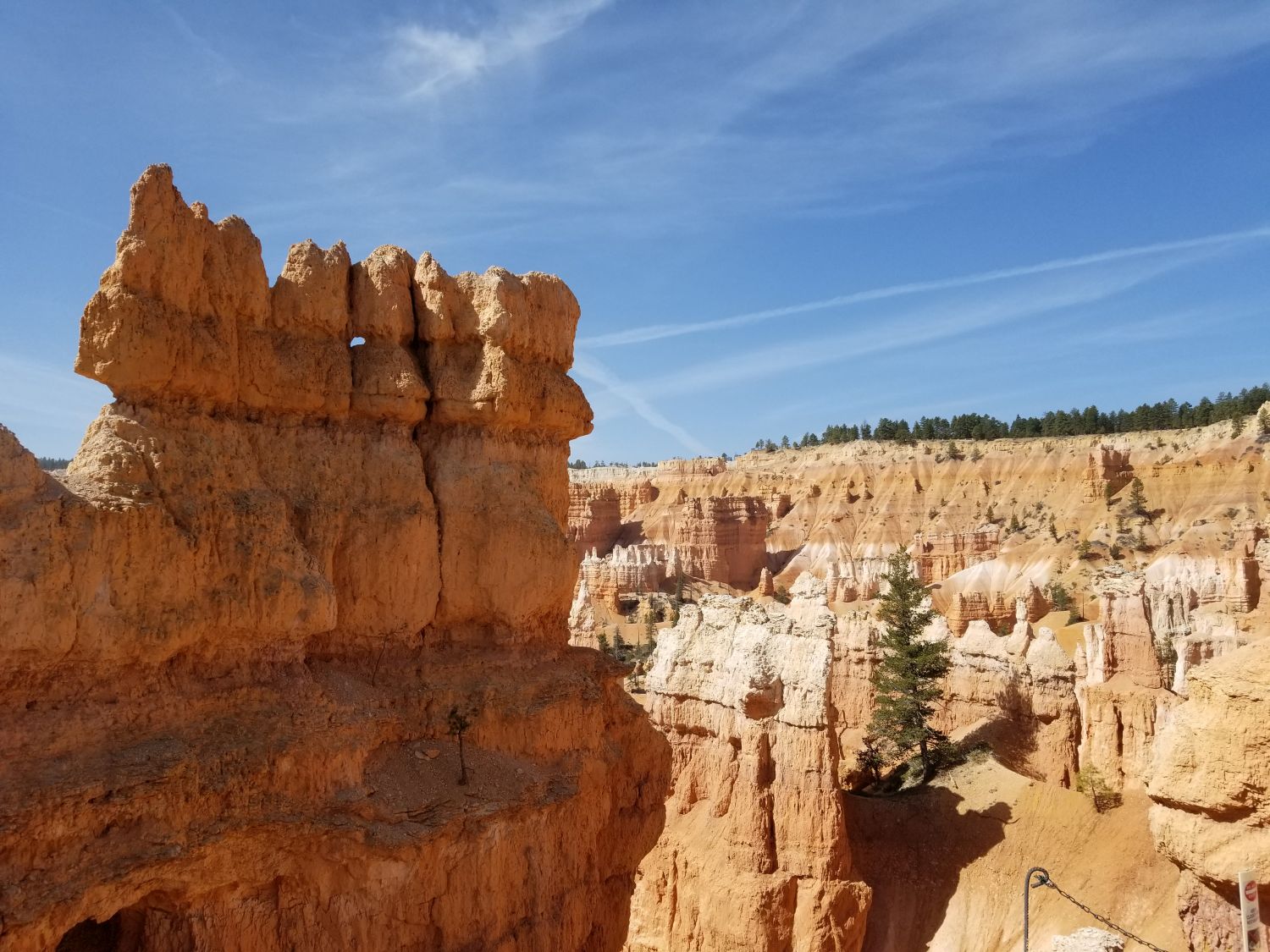 Queens/Navajo 